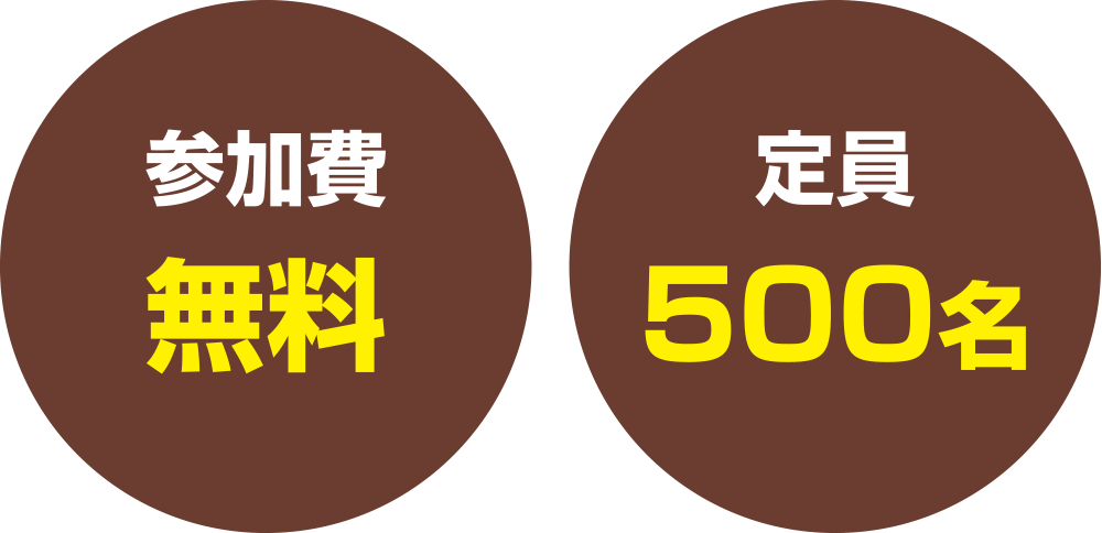 Q@500